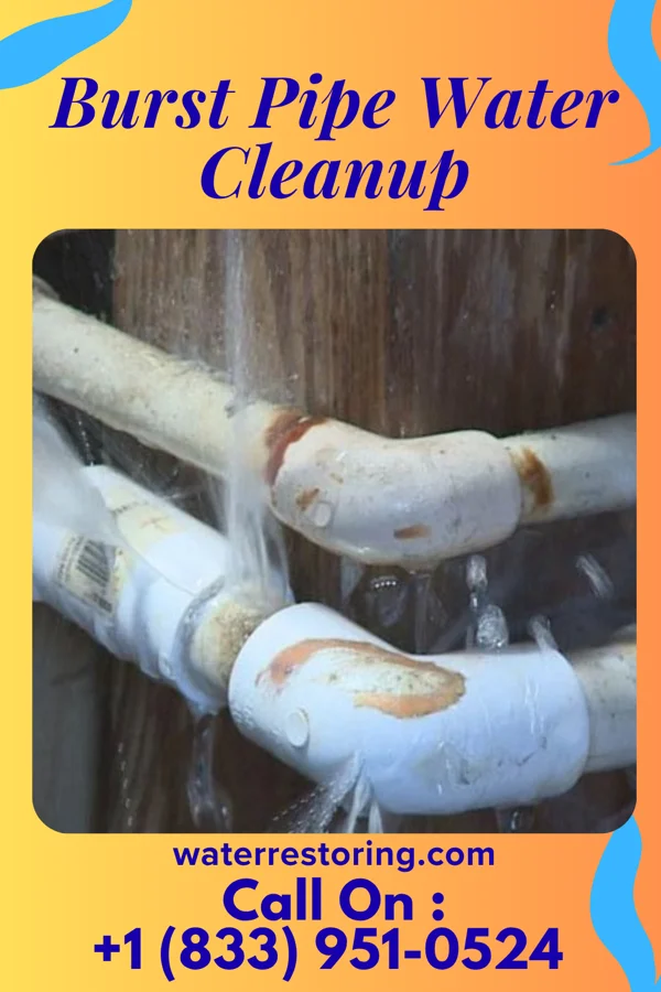 Burst Pipe Water Cleanup in East Berlin, PA