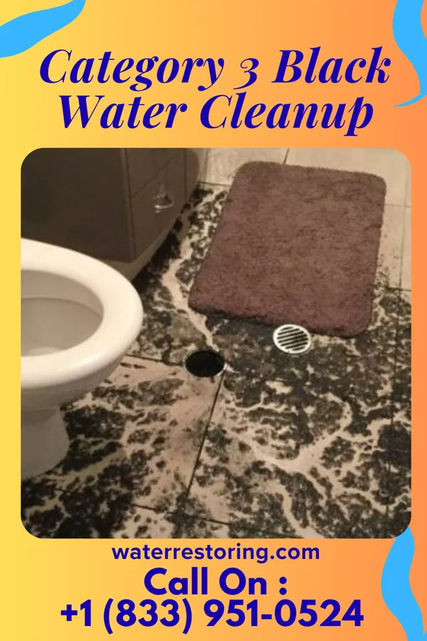Category 3 Black Water Cleanup in East Berlin, PA