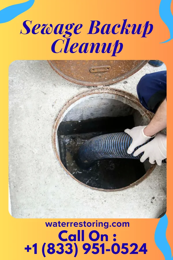 Sewage Backup Cleanup in East Berlin, PA