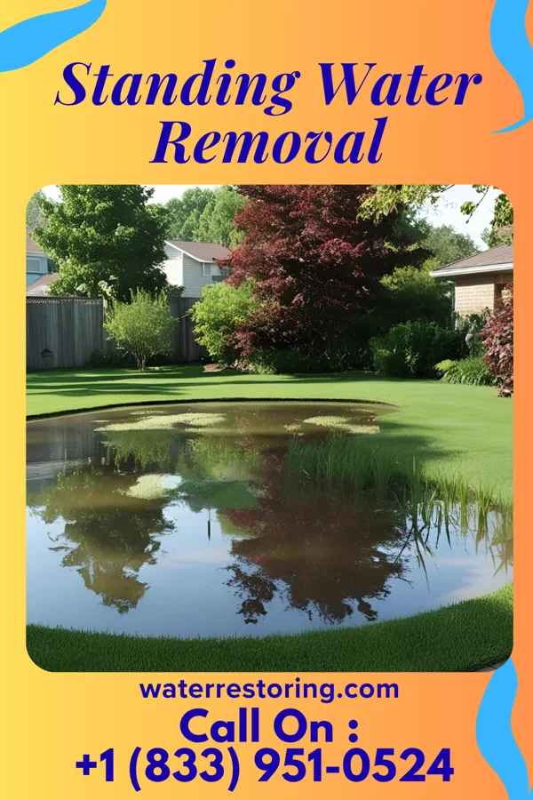 Standing Water Removal in East Berlin, PA